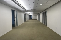 310. Suite 2850