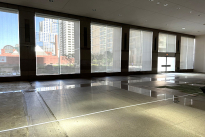119. Lobby Suite
