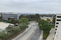 43. Rooftop
