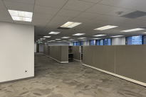 78. Suite 210