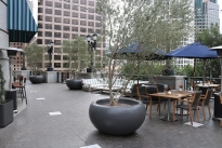 64. Plaza 