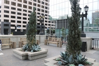 13. Exterior Plaza