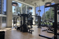 75. Gym
