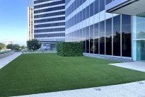 16. Exterior
