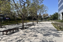 35. Plaza
