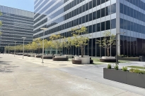 37. Plaza