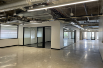 32. Suite 203