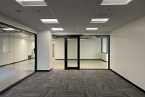 29. Suite 203