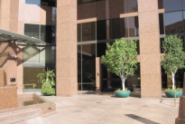 6. Exterior
