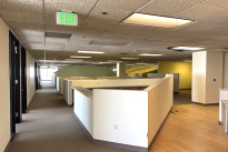 146. Suite 1955
