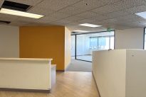 145. Suite 1955