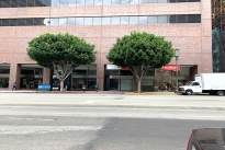 6. Exterior