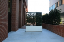 18. Exterior