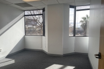 17. Suite 100