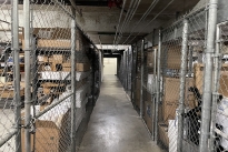 40. Lower Level