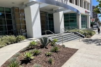 12. Exterior