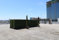 111. Rooftop