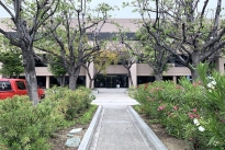 13. Exterior