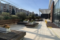 14. Plaza