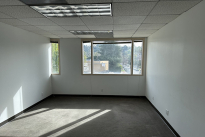25. Suite 305