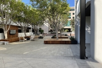 8. Plaza