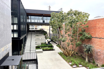 12. Plaza