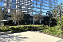 16. Plaza