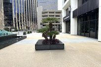 19. Exterior Plaza