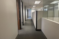 53. Suite 245