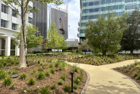 12. Plaza