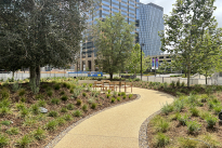 11. Plaza