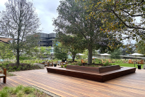 16. Plaza