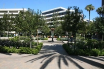 14. Exterior Plaza