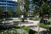 15. Exterior Plaza