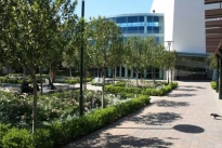 16. Exterior Plaza