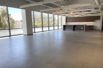 31. Suite 300