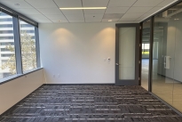 41. Suite 330
