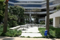 18. Interior Plaza