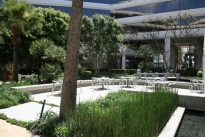 16. Interior Plaza