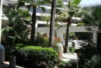 19. Interior Plaza