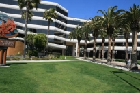 6. Exterior