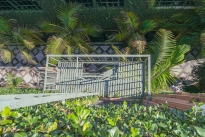 15. Courtyard
