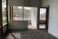 20. Suite 101