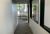 25. Suite 101