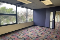 29. Suite 208