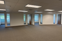 43. Suite 173