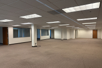 47. Suite 175