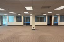 48. Suite 175