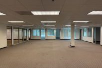 49. Suite 175