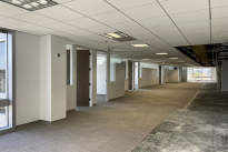 101. Suite 650